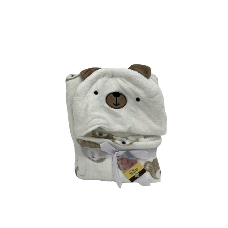 3121 1.jpg